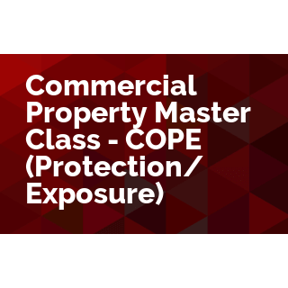 Commercial Property Master Class - COPE - (Protection & Exposure)