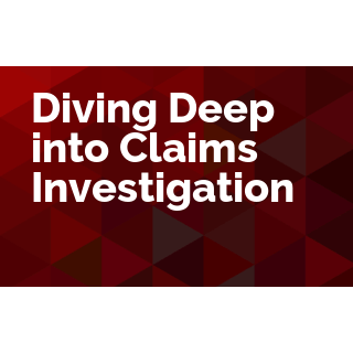 Diving Deep into Claims Investigation