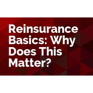 Reinsurance Basics: Why Does This Matter?